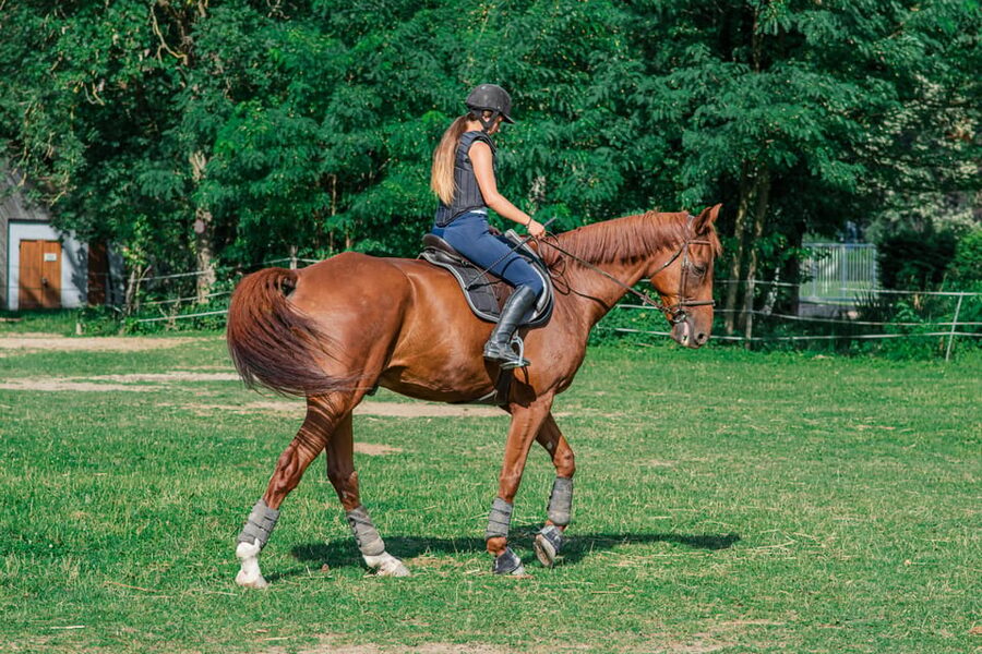 From Seville: Andalusian Horseback Ride - Price and Value: Is $164 a Fair Deal for 2 Hours?