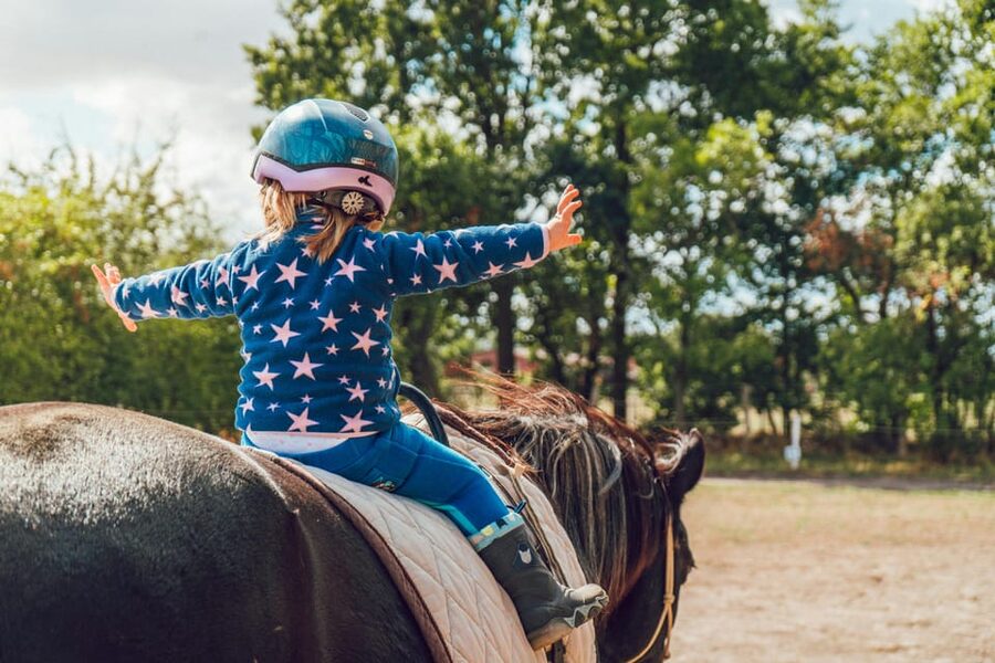 From Seville: Andalusian Horseback Ride - Meet the Andalusian Horses, Pure Spanish, and How Novices Get Supported