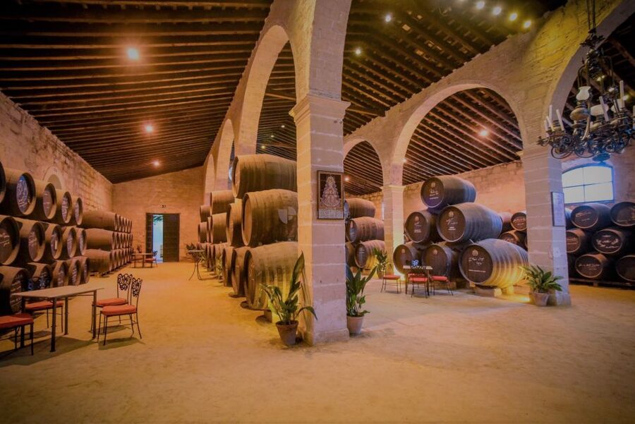 From Seville: Cadiz and Jerez de la Frontera Day Trip - Price and value: is $117 fair for this mix of wine and coastal city time?