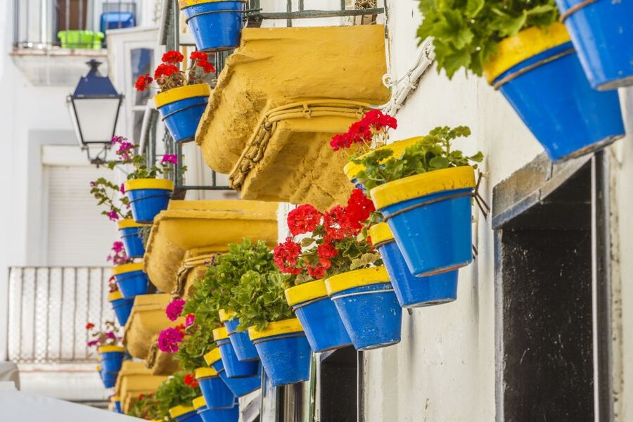 From Seville: Cadiz and Jerez de la Frontera Day Trip - Cádiz lunch and the best kind of free time