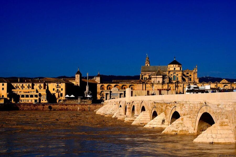 From Seville: Cordoba Full-Day Tour with Tickets Included - Who Should Book This Tour (and Who Might Prefer Another Plan)