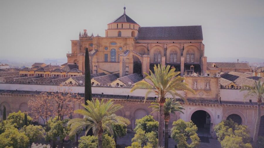 From Seville: Cordoba, the Mosque and Carmona Day Trip - Who this tour fits best, and who should think twice
