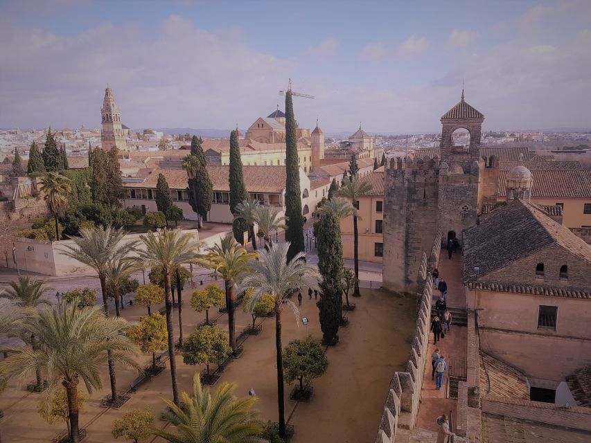 From Seville: Cordoba, the Mosque and Carmona Day Trip - Guides and language options, how to match your day to your comfort