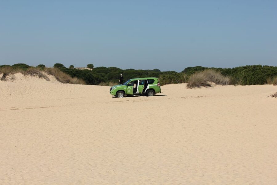 From Seville: Doñana, El Rocio, and Matalascañas Beach Tour - Price and Value: Is $132 a Good Deal?