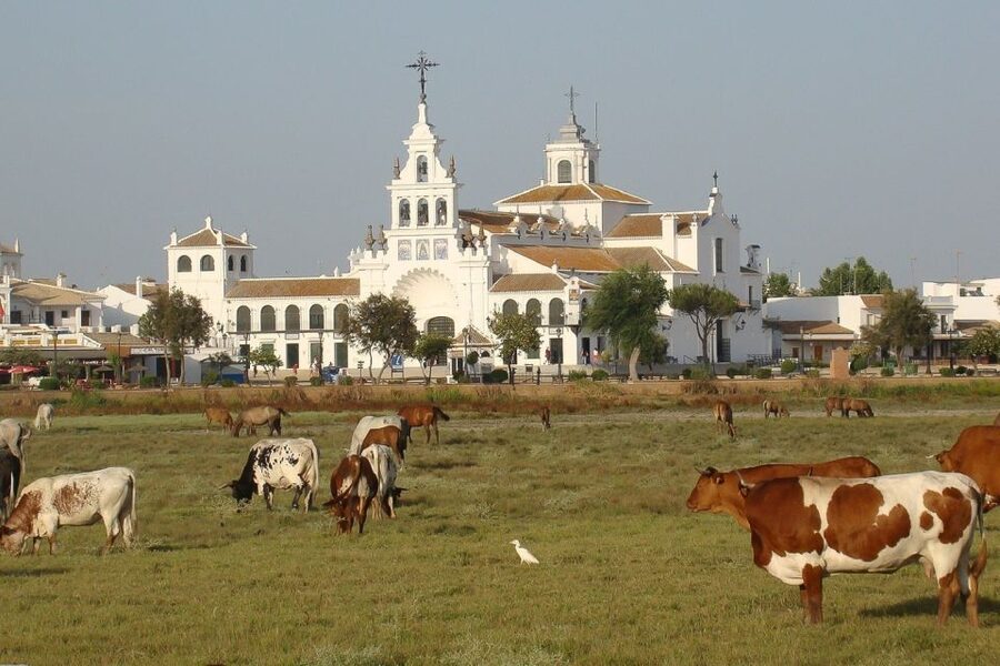 From Seville: Doñana National Park Day Trip - El Rocío: a culture stop that adds meaning to the nature