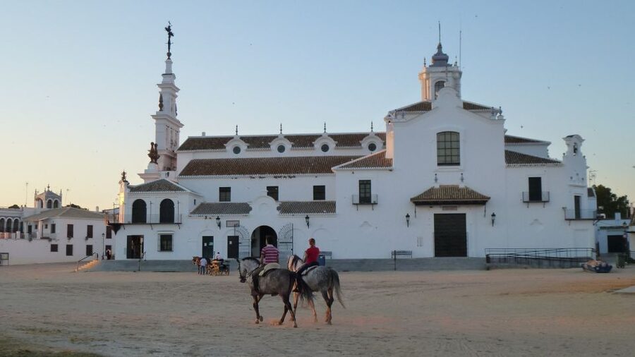 From Seville: Doñana National Park Full-Day Private Tour - Price and Logistics: What You’re Paying For, and What to Confirm