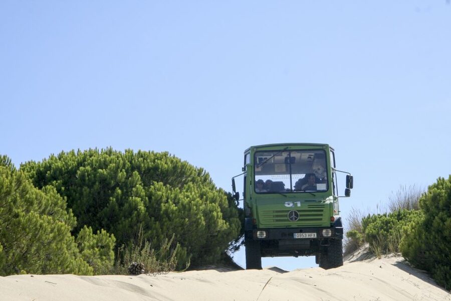 From Seville: Doñana Natural Park, El Rocio and Matalascañas - Key highlights worth your attention