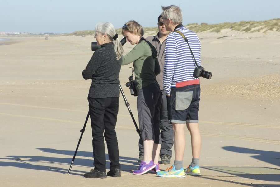 From Seville: Doñana Natural Park, El Rocio and Matalascañas - Should you book this tour? My honest verdict