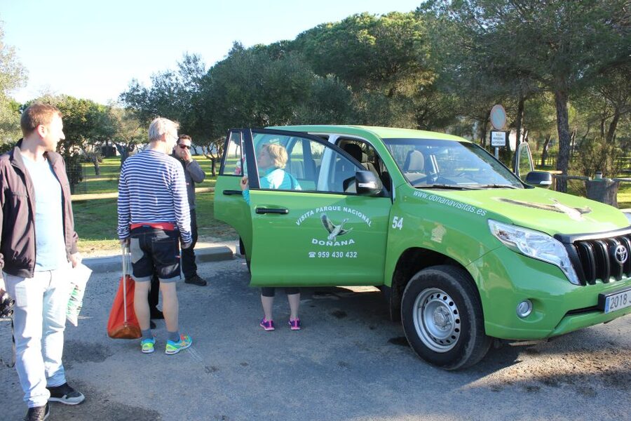 From Seville: Doñana Natural Park, El Rocio and Matalascañas - Comfort, timing, and what to pack for a smoother day