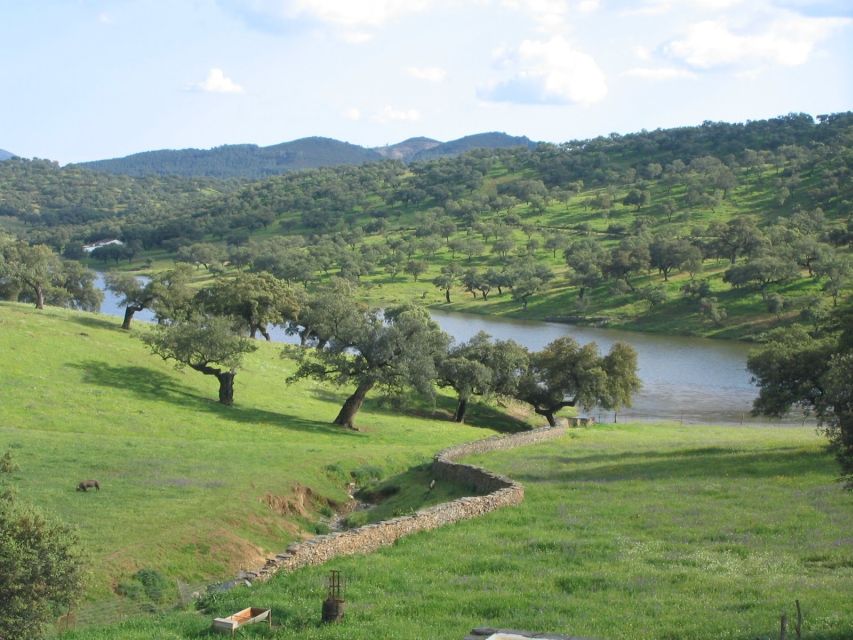 From Seville: Full-Day Aracena & Rio Tinto Mines Tour - Gruta de las Maravillas cave tour: stalactites, stalagmites, and that blue water