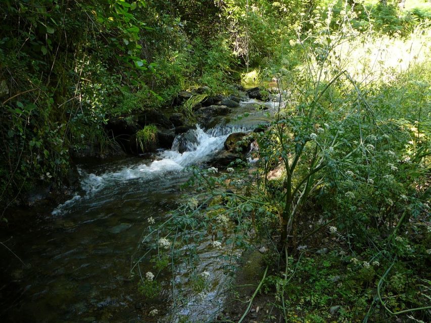 From Seville: Full-Day Aracena & Rio Tinto Mines Tour - Lunch and rural stops: what fills the gaps between the big sights