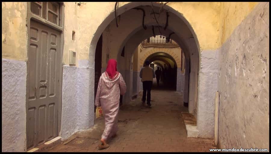 From Seville: Full-Day Tour to Tangier - Price and value: is $259 per person a fair deal?