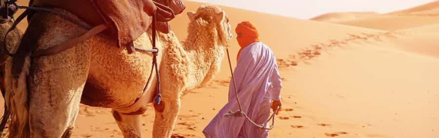 From Seville: Full-Day Tour to Tangier - Transfers, pacing, and the logistics you should double-check
