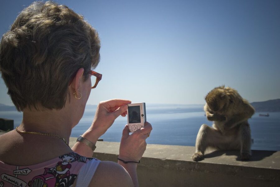 From Seville: Gibraltar Sightseeing Tour - How Far Up the Rock Do You Go? St Michael’s Cave and the View Limit That Catches People