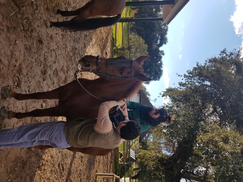 From Seville: Horseback Riding Experience in Aljarafe - Key things to know before you book