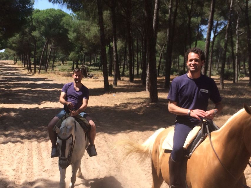 From Seville: Horseback Riding Experience in Aljarafe - The guided visit: learning Andalusian horse traits before you mount