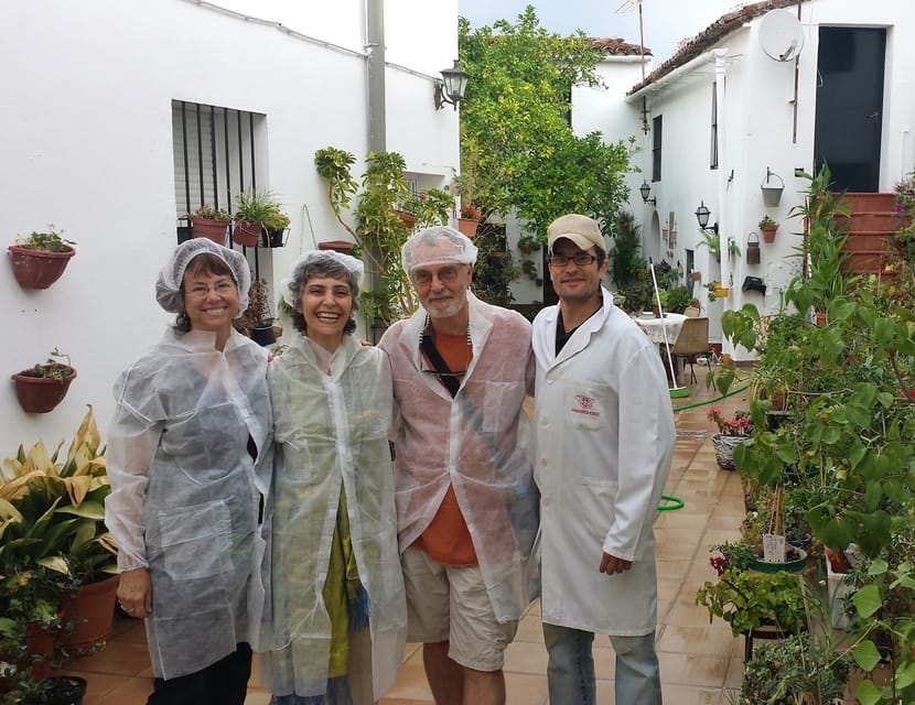 From Seville: Iberian Ham Full-Day Tour to Aracena - Who Should Book, and Who Might Skip This