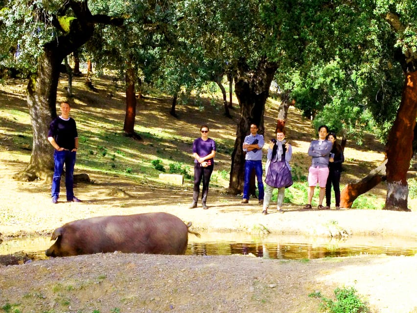 From Seville: Iberian Ham Full-Day Tour to Aracena - Aracena Town Time: Lunch, Architecture, and a Castle Visit