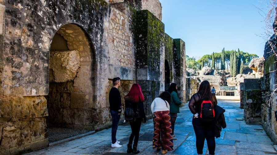 From Seville: Italica Roman City Tour - Roman Streets, Public Buildings, and the Walk-Through Feel