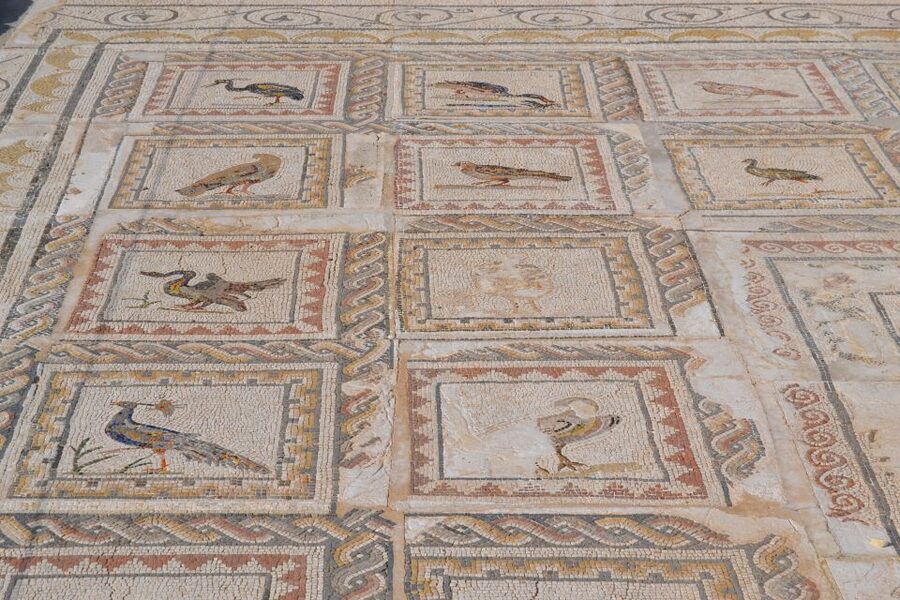 From Seville: Italica Roman City Tour - Mosaics, Statues, Baths, and the Traianeum