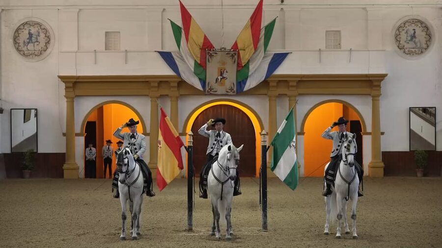From Seville: Jerez, Cádiz and Andalusian Horses - Who this day trip suits best
