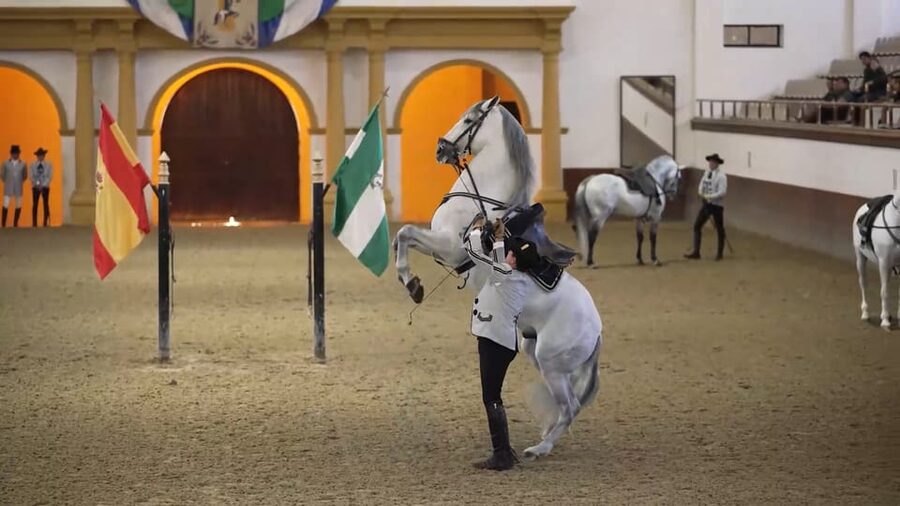 From Seville: Jerez, Cádiz and Andalusian Horses - Jerez bodega tour: tasting sherry the way locals talk about it
