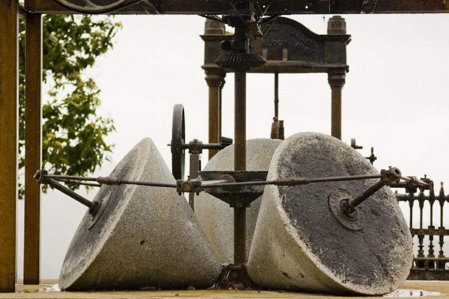 From Seville: Olive Oil Farm Tour - Key highlights you will actually notice