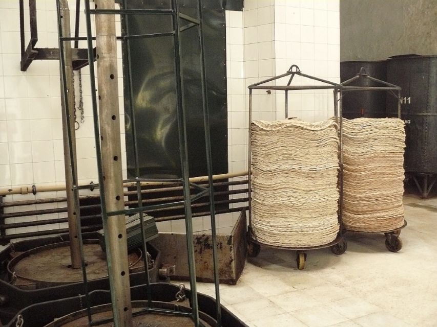 From Seville: Olive Oil Farm Tour - Should you book the Seville olive oil farm tour?