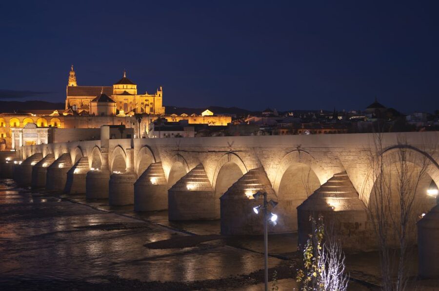 From Seville: Private or Group Full-Day Cordoba Tour - Key highlights at a glance