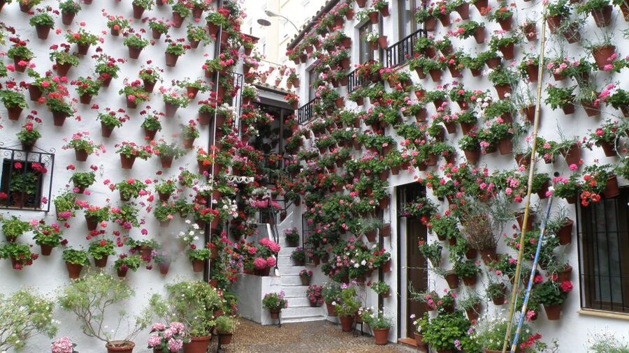 From Seville: Private or Group Full-Day Cordoba Tour - Why Córdoba Feels Like Three Cities in One Day