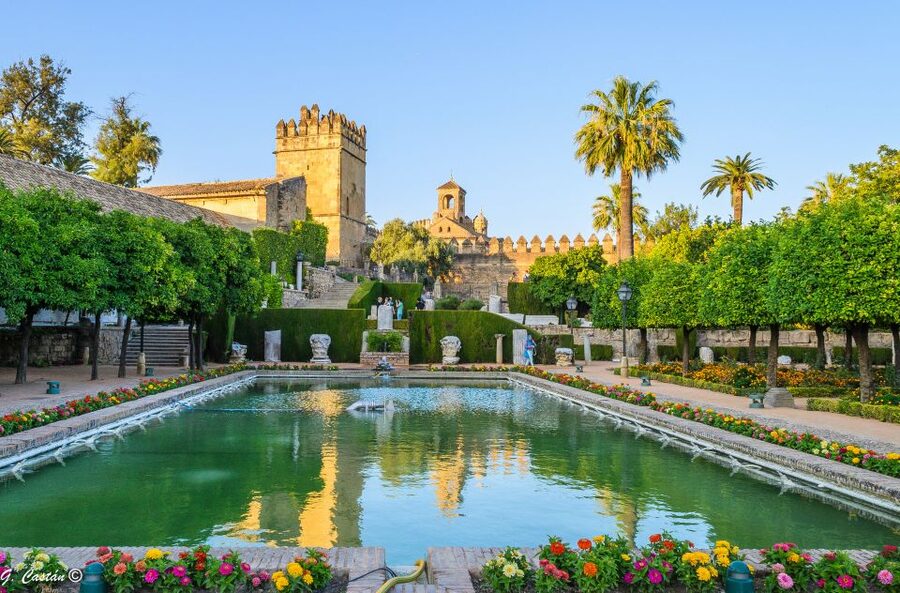 From Seville: Private or Group Full-Day Cordoba Tour - Guides, Languages, and Group Size, Private vs Small