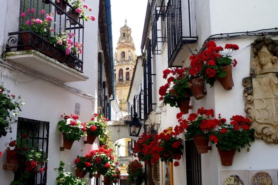 From Seville: Private Transfer to Granada and Córdoba Tour - Córdoba’s Mezquita-Cathedral stop, what to notice first