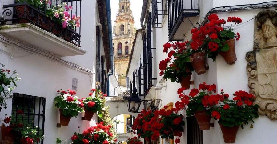 From Seville: Private Transfer to Granada and Córdoba Tour - Water mills on the Guadalquivir, plus Albolafia and the Roman bridge