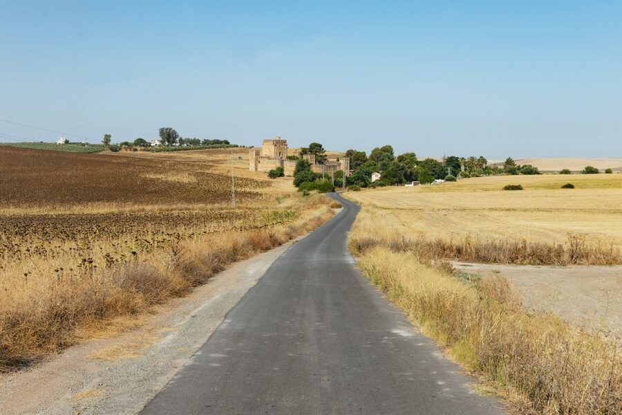From Seville: Pueblos Blancos and Ronda Full-Day Trip - What to Pack and How to Enjoy Every Stop
