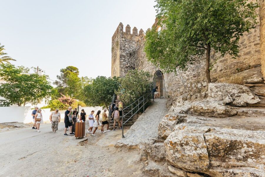 From Seville: Pueblos Blancos and Ronda Full-Day Trip - Grazalema Natural Park, Griffon Vultures, and Lunch Time