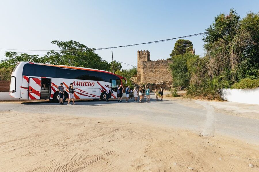 From Seville: Pueblos Blancos and Ronda Full-Day Trip - Price and Value: Is $52 Worth It?