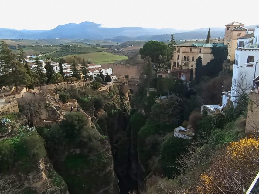 From Seville: Ronda+Setenil de las Bodegas Day Trip - Setting off from Seville: where to find your group