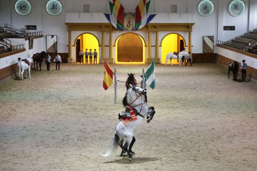 From Seville: Tour of Jerez with Horse Show & Wine Tasting - Key highlights to know before you go
