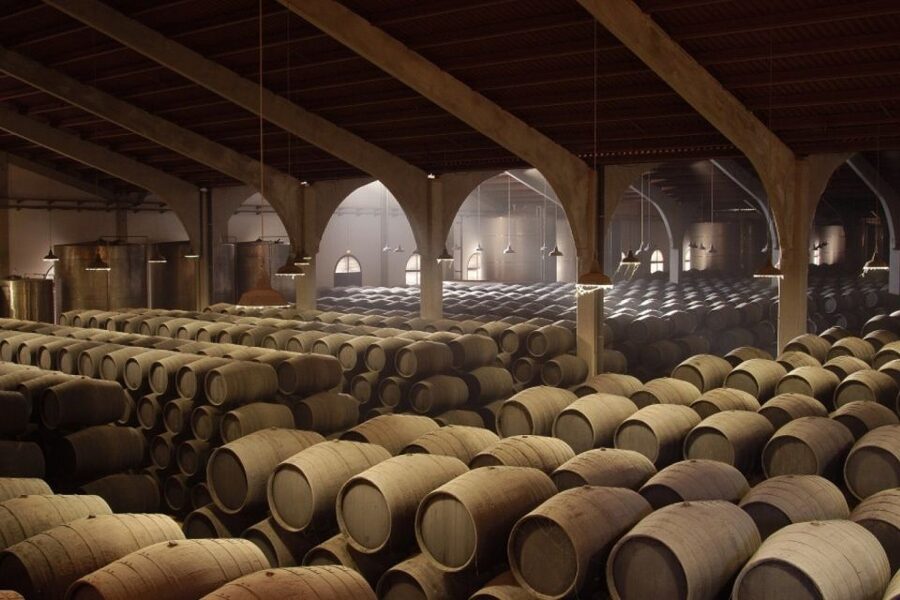 From Seville: Tour of Jerez with Horse Show & Wine Tasting - Timing and logistics that affect your enjoyment