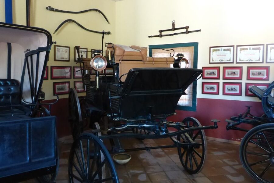 From Seville: Tour of Jerez with Horse Show & Wine Tasting - Who this tour suits best, and who should pass