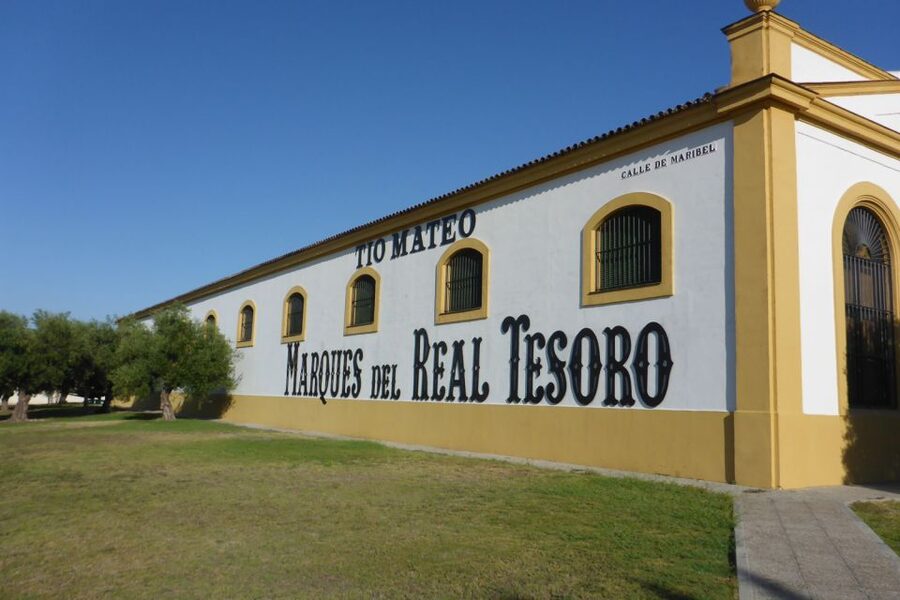 From Seville: Tour of Jerez with Horse Show & Wine Tasting - Should you book this Seville to Jerez tour?