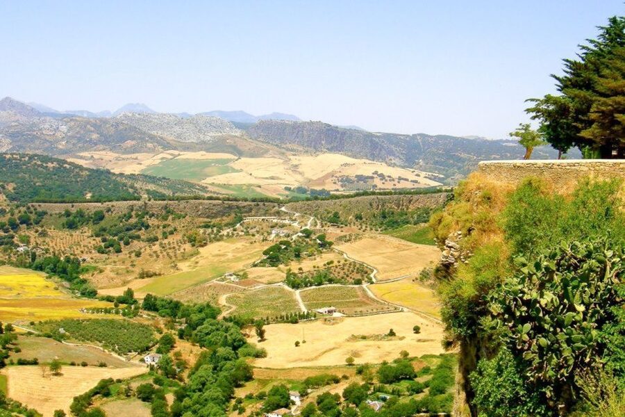 From Seville: White Villages and Ronda Tour - Who this tour suits best, and who should skip it