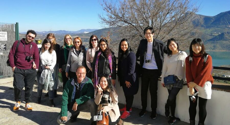 From Seville: White Villages and Ronda Tour - The olive oil and oil-factory stop: why it’s more than a sales pit