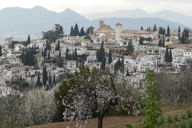 Granada Day Trip: Alhambra & Nazaries Palaces from Seville - The guides and drivers: why names matter on this route