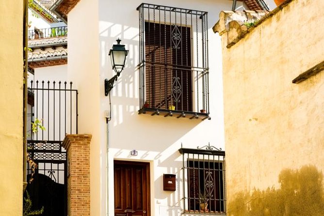 Granada Day Trip with Alhambra and Albaicin Tour from Seville - Riding the Coach: What to Expect Between Seville and Granada