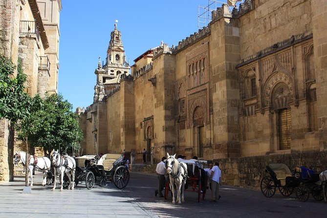 Guided tour: discover the 2 great monuments in Córdoba: Mezquita and Alcázar. - Headphones, skip-the-line, and the small details that save your energy