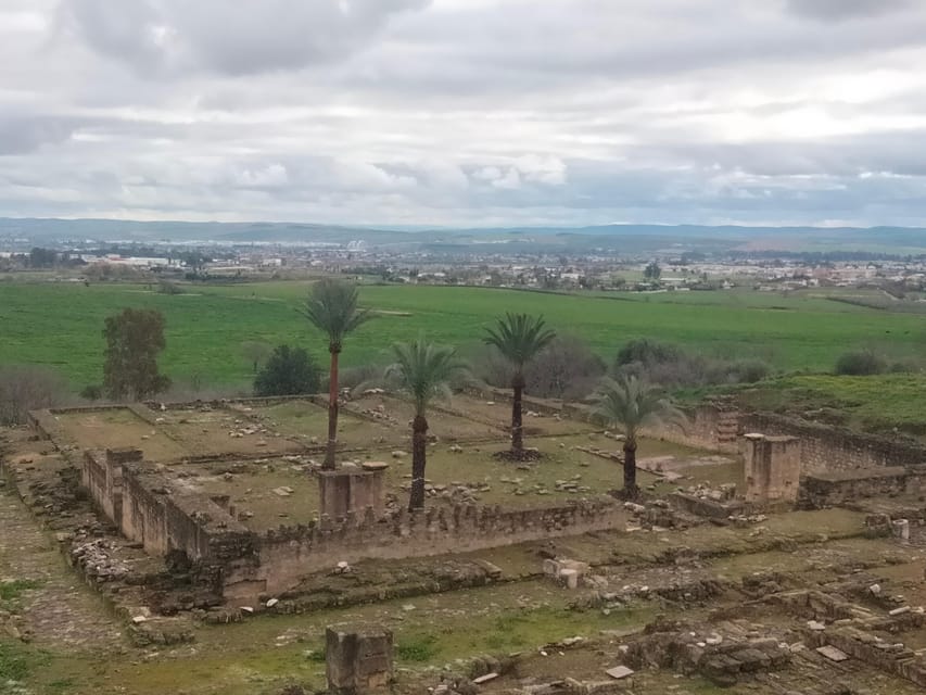Guided tour of Medina Azahara only in french - The value of a 2-hour French-guided plan, and what you actually get
