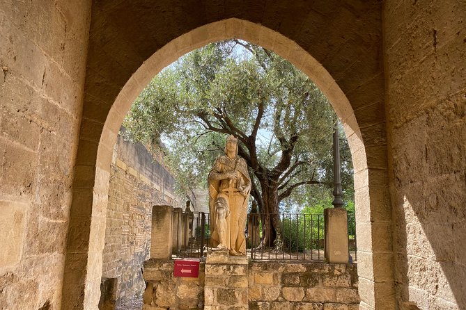Guided tour of the Alcazar de los Reyes Cristianos in Spanish - Who this tour is best for, and who might want a different plan