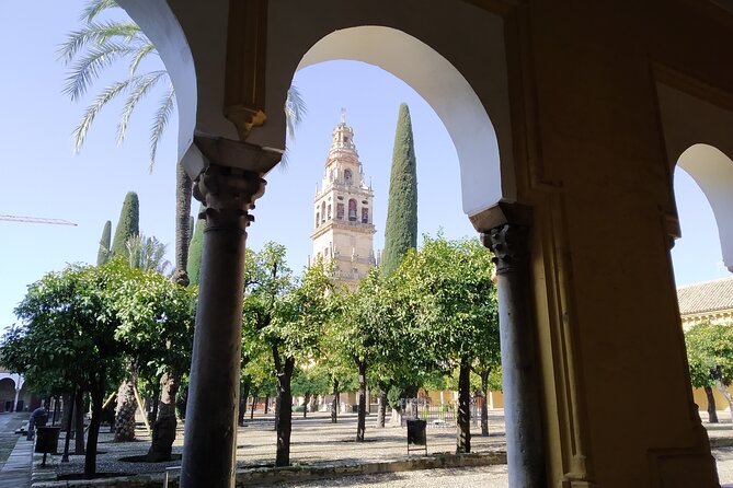 Guided tour of the Mosque-Cathedral of Cordoba in Spanish - Finding Your Meeting Point At Patio de los Naranjos
