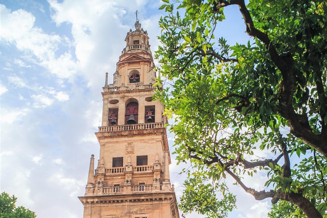 Guided tour of the Mosque with entrance included - Price and value: what you get for $30.41